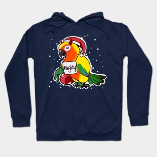 Naughty Sun Conure Hoodie